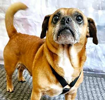 Photo of Max