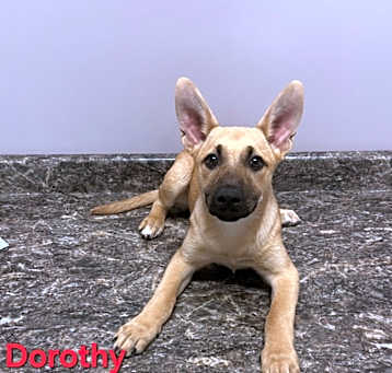 Photo of Dorothy