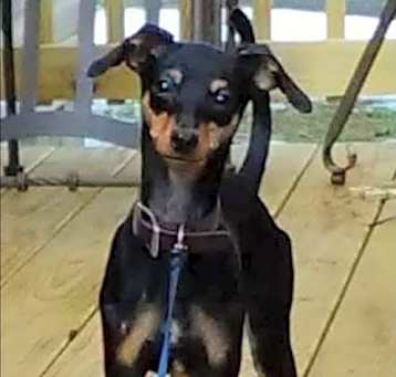 Photo of Chevy
