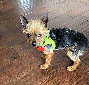 Photo of Matilda