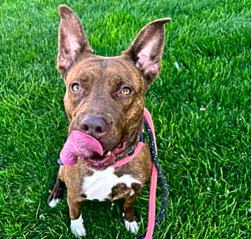 Photo of Mocha B