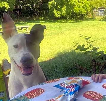 Photo of Junior