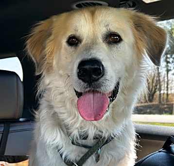 Photo of Ranger