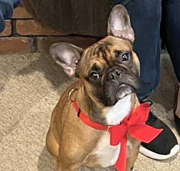 Photo of Gus