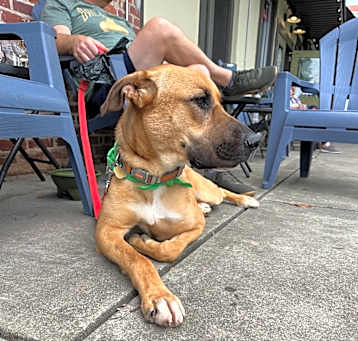 Photo of Marlowe