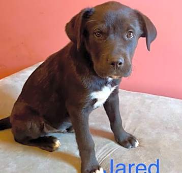 Photo of Jared
