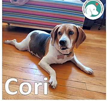 Photo of CORI