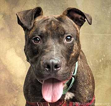 Photo of Major