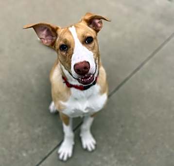 Photo of Tess