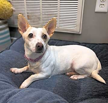 Photo of Ember