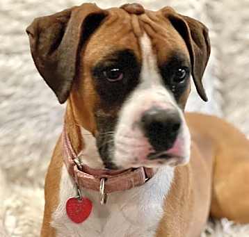 Photo of Skyla