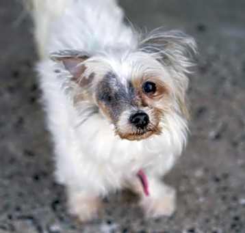 Photo of Kiwi