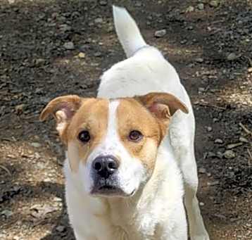 Photo of Lollie