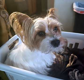 Photo of Sophia