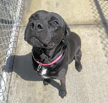 Photo of Penelope