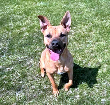 Photo of Wally