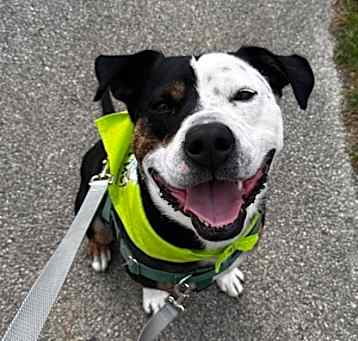 Photo of Tyson