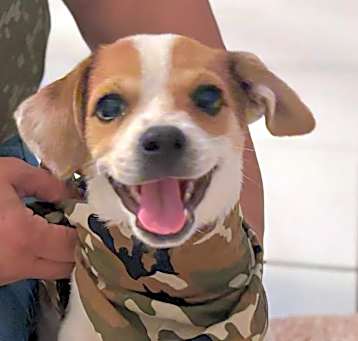 Photo of SNOOPY SAM