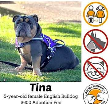 Photo of Tina