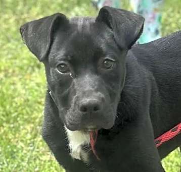 Photo of Gus