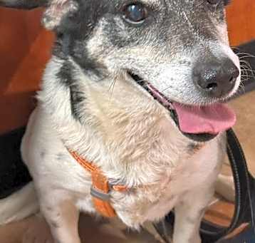 Photo of Max