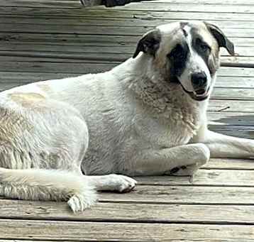 Photo of Charlotte