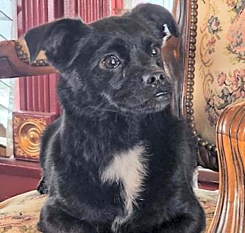 Photo of Quincy