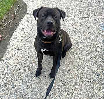 Photo of Otis