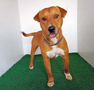 Photo of Skeeter