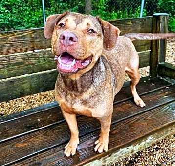 Photo of Mable