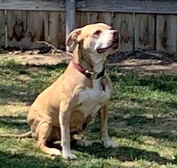 Photo of Stormy
