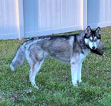Photo of Stormy