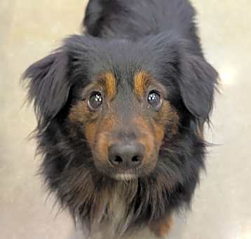 Photo of Roary