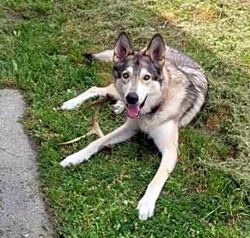 Photo of Mia