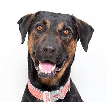 Photo of Xavier