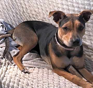 Photo of Millie