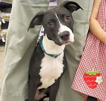 Photo of Phoebe