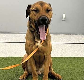 Photo of Barry