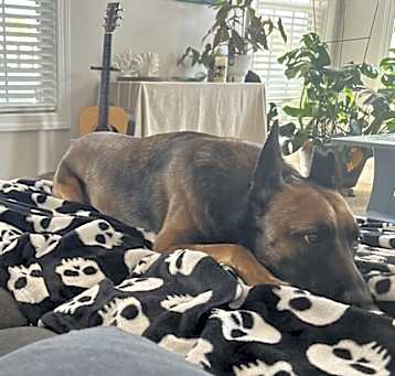 Photo of Echo