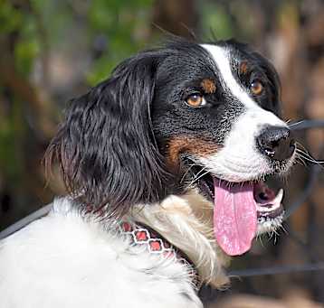 Photo of Reggie