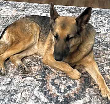 Photo of Tildy