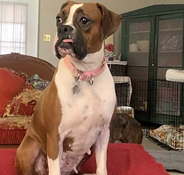 Photo of Rhonda