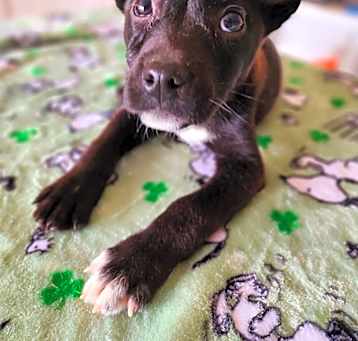 Photo of Derby