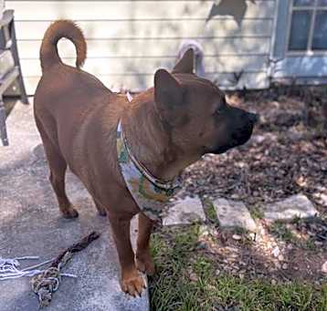 Photo of OSO