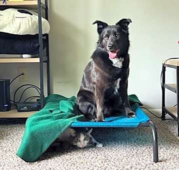Photo of Little Bear