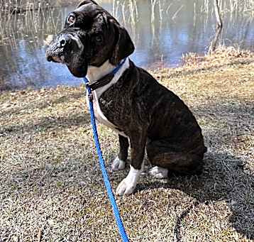 Photo of Thor
