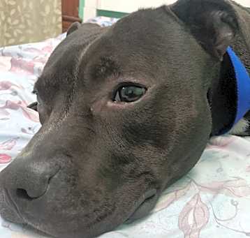 Photo of Zeus