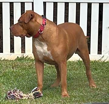 Photo of Thor