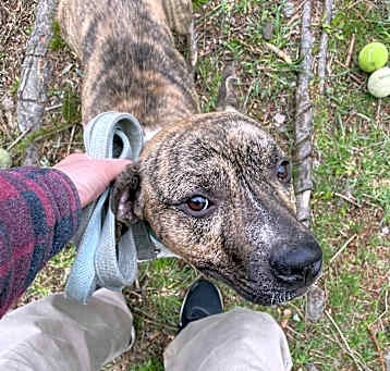 Photo of Cooper