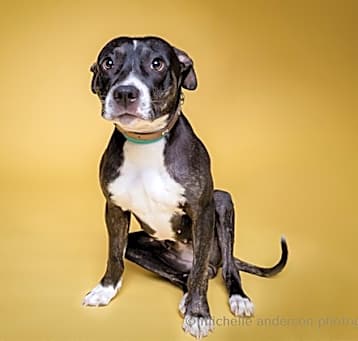 Photo of MISSY